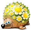 hediyye